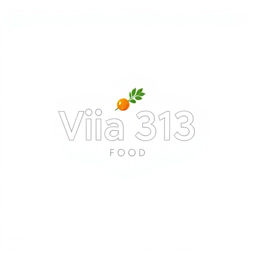 Via 313 Logo